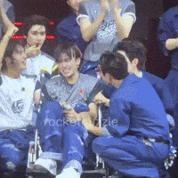 Lolfanfest GIF