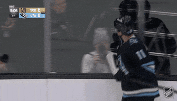 Happy Celebration GIF by NHL