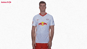 Pray Thank God GIF by RB Leipzig