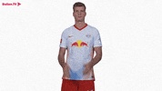 Cant Believe It Oh No GIF by RB Leipzig
