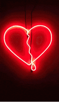 valentine's day neon GIF by Studio 360