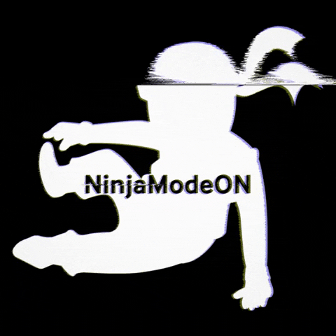 NinjaZone giphygifmaker ninja ninjazone ninja mode on GIF