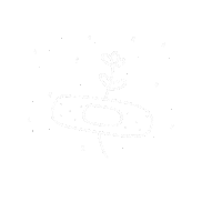 Flower Stars Sticker