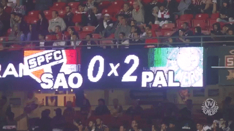 sao paulo tabu GIF by SE Palmeiras
