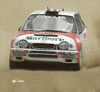 Toyota Corolla Sport GIF by FIA World Rally Championship