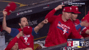 World Series Baseball GIF by MLB