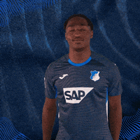 Sport Logo GIF by TSG Hoffenheim