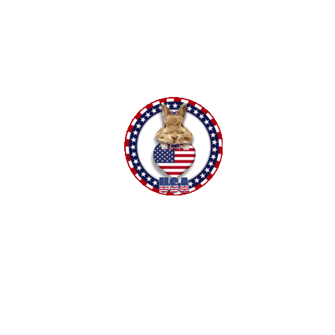 American Usa Sticker by Pimp Yo Pets