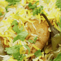 Rice GIF