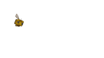 Bee Sticker by Warner Bros. Pictures