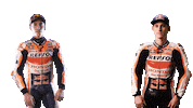 Marc Marquez Sport Sticker by MotoGP