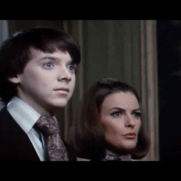 if you know what i mean cult movies GIF by absurdnoise