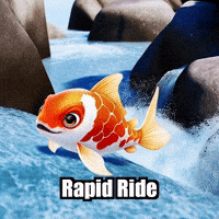 Koi Fish Wild Nature GIF by TheConfishius