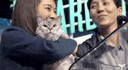 GIF by Shorty Awards