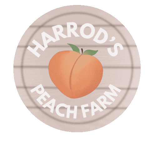 Peach Sticker by Lindsey Harrod