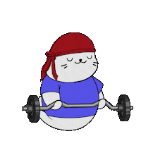 Work Out Fun Sticker by Sappy Seals Community