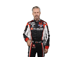Wtcr Tiago Sticker by FIA World Touring Car Cup