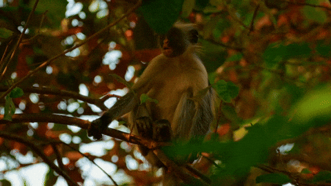 Summer Beach GIF by DEEPSYSTEM