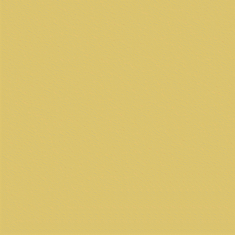 Summer Swimming GIF by Finch Care