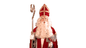 5December Sintenpiet Sticker by benniesolo