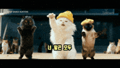 틴더스 GIF