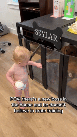 cuteanimalland giphyupload GIF
