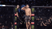 Demian Maia Sport GIF by UFC