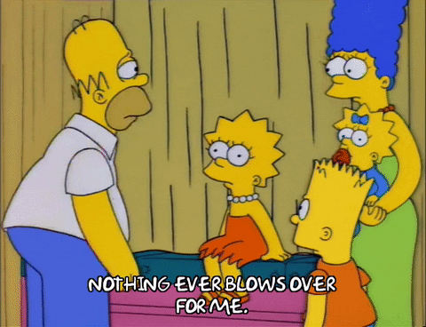 homer simpson GIF