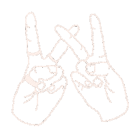 wonderest music summer festival chill Sticker