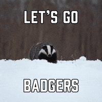 Let's Go Badgers