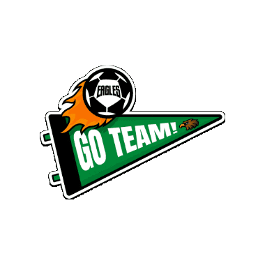 colegioinglesdetorreon giphygifmaker sports football soccer Sticker