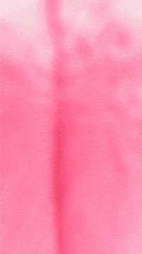 Cupcake Freddy GIF by Youtooz