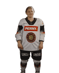 Ice Hockey Sticker by deb_teams