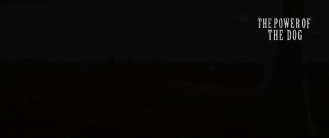Movie GIF by NETFLIX