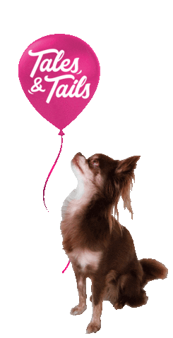 dog heart Sticker by Tales&Tails