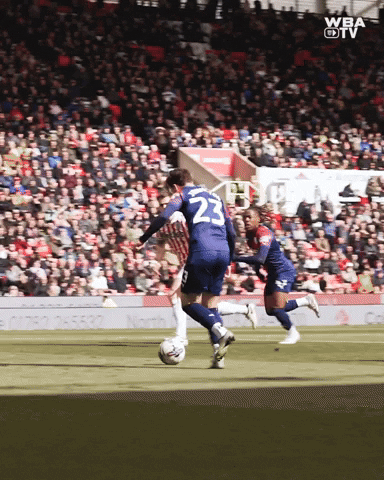 West Brom Football GIF by West Bromwich Albion
