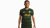 Waving Portland Timbers GIF by Timbers