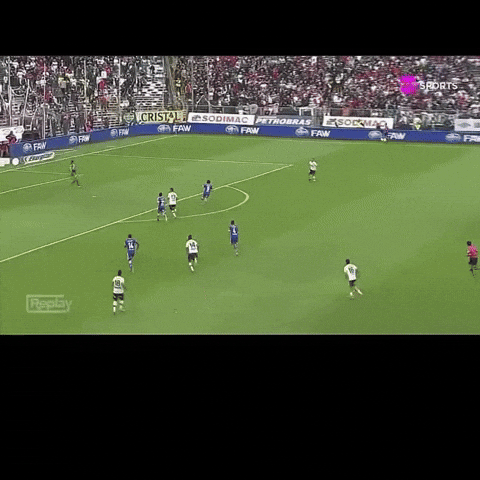 Herrera Colocolo GIF