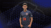 Scream GIF by Carson-Newman Athletics