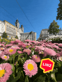 Flowers Wow GIF by Linz News