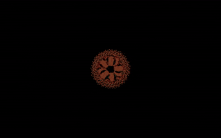 3D Flower GIF by Quasi Crystals