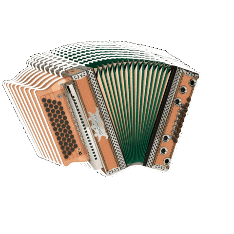 Stoanineum giphygifmaker Sticker