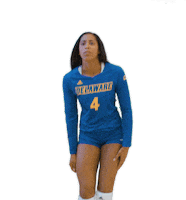 dance love Sticker by Delaware Blue Hens