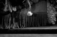 the great ziegfeld every time i drop something i try to do it this dramatically GIF by Maudit