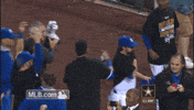 kansas city royals baseball GIF by MLB