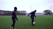 broendby GIF by Brøndby IF