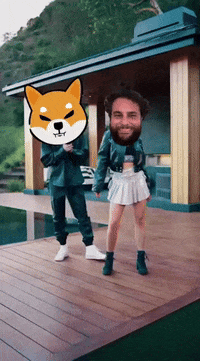Shib Army GIF by SHIB MEMES