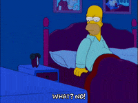 homer simpson GIF
