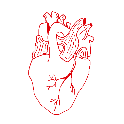 vvvioleta heart corazon rojo redheart Sticker