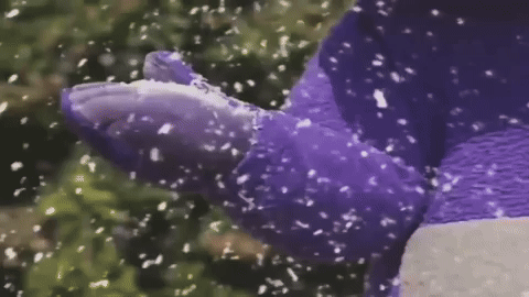 Snow Day Hello GIF by Teletubbies